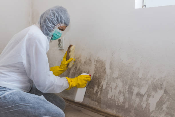 Best Forensic Mold Investigation  in Iyanbito, NM